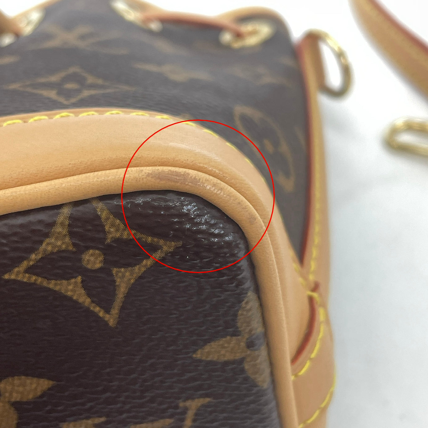 Louis Vuitton Nano Noé — Brown Monogram Coated Canvas (RFID)